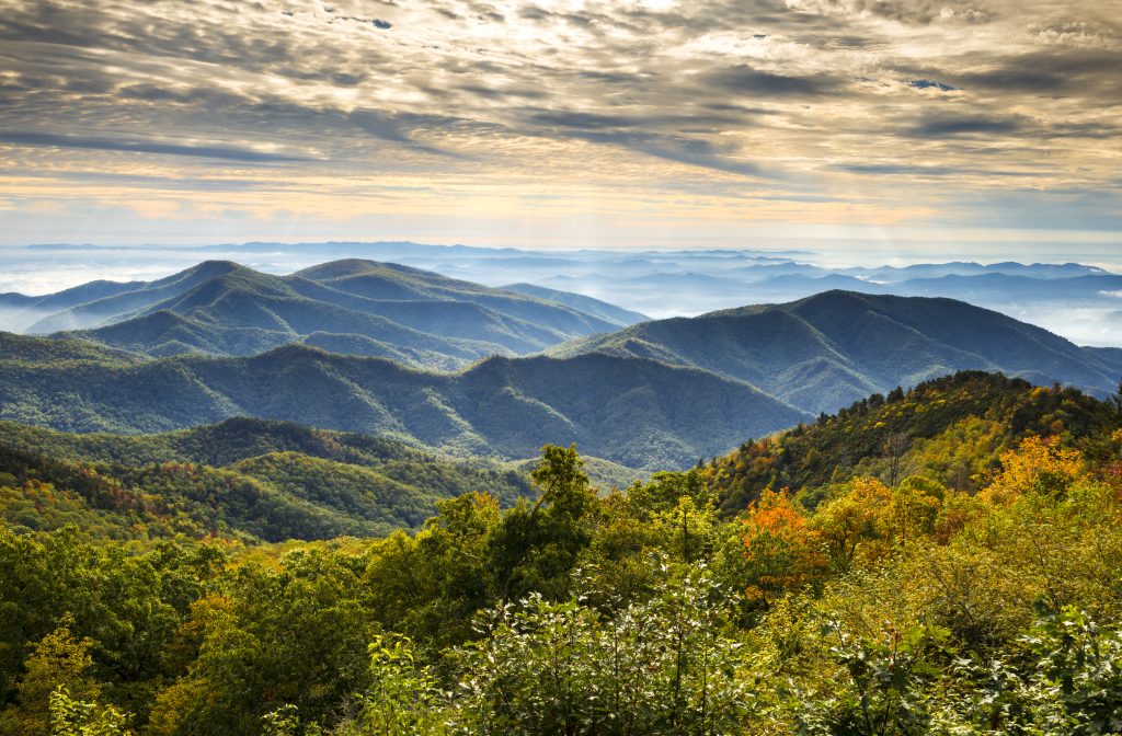 Blue,Ridge,Parkway,National,Park,Sunrise,Scenic,Mountains,Autumn,Landscape