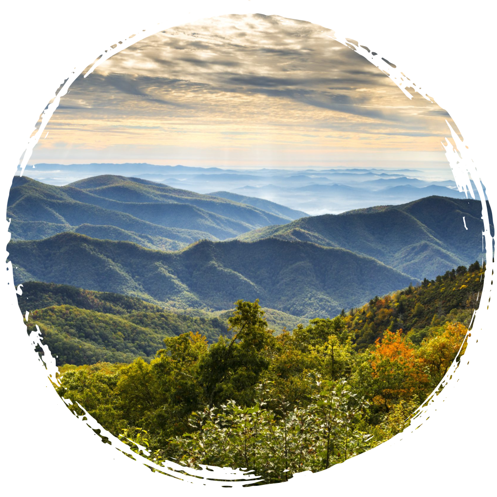 Exploring the Charms of West Jefferson: Unveiling Hidden Gems