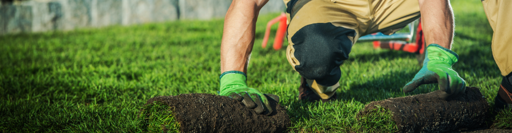 The Advantages of Hiring a Property Management Company for Rental Properties in Ashe County North Carolina