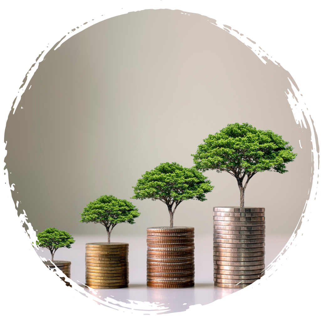 Investment Properties: Maximizing Returns and Building Wealth in Ashe County, North Carolina.