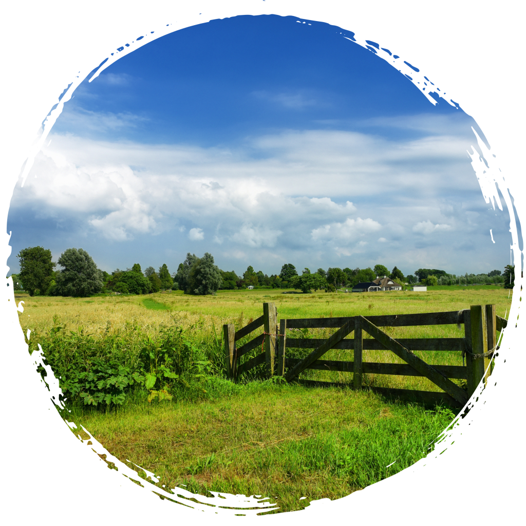 Embracing the Tranquility: The Benefits of Living in Rural Areas in Ashe County, North Carolina