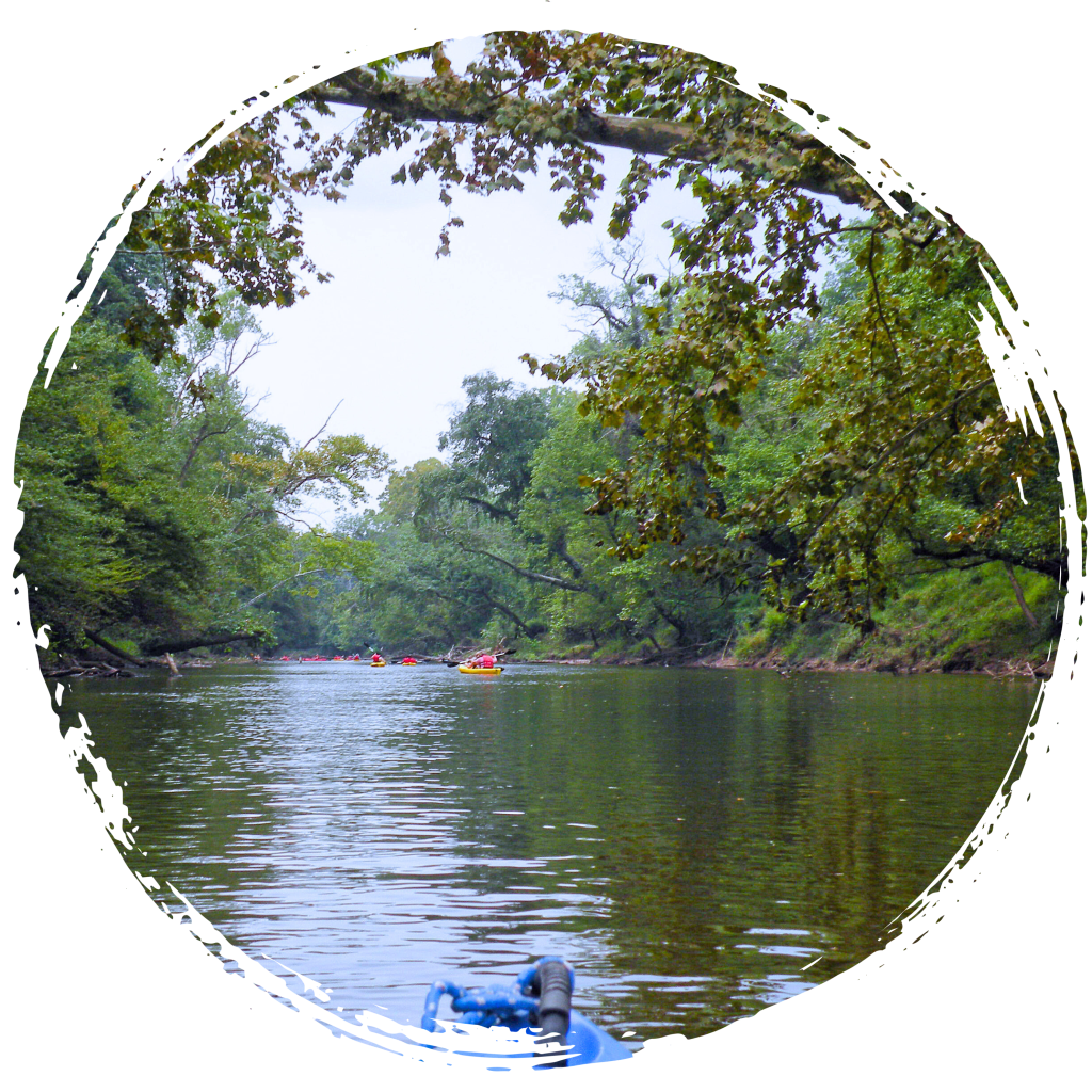 Outdoor Adventure in Ashe County: Embrace Nature's Playground with Ashe County Realty