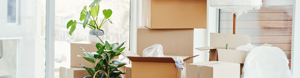 Stress-Free Moving: Essential Packing and Moving Tips from Ashe County Realty