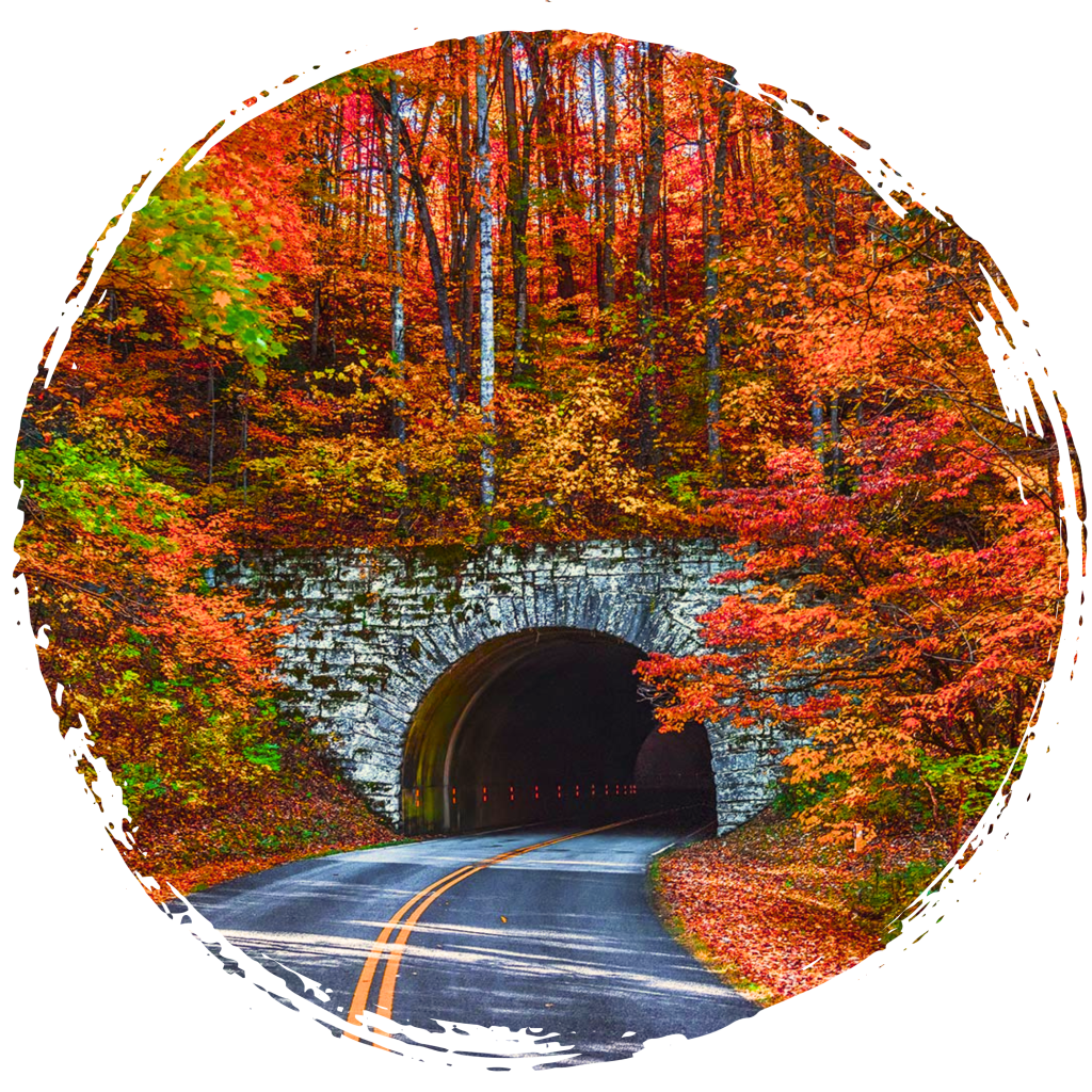 Captivating Colors: The Peak Times to Visit West Jefferson in the Fall