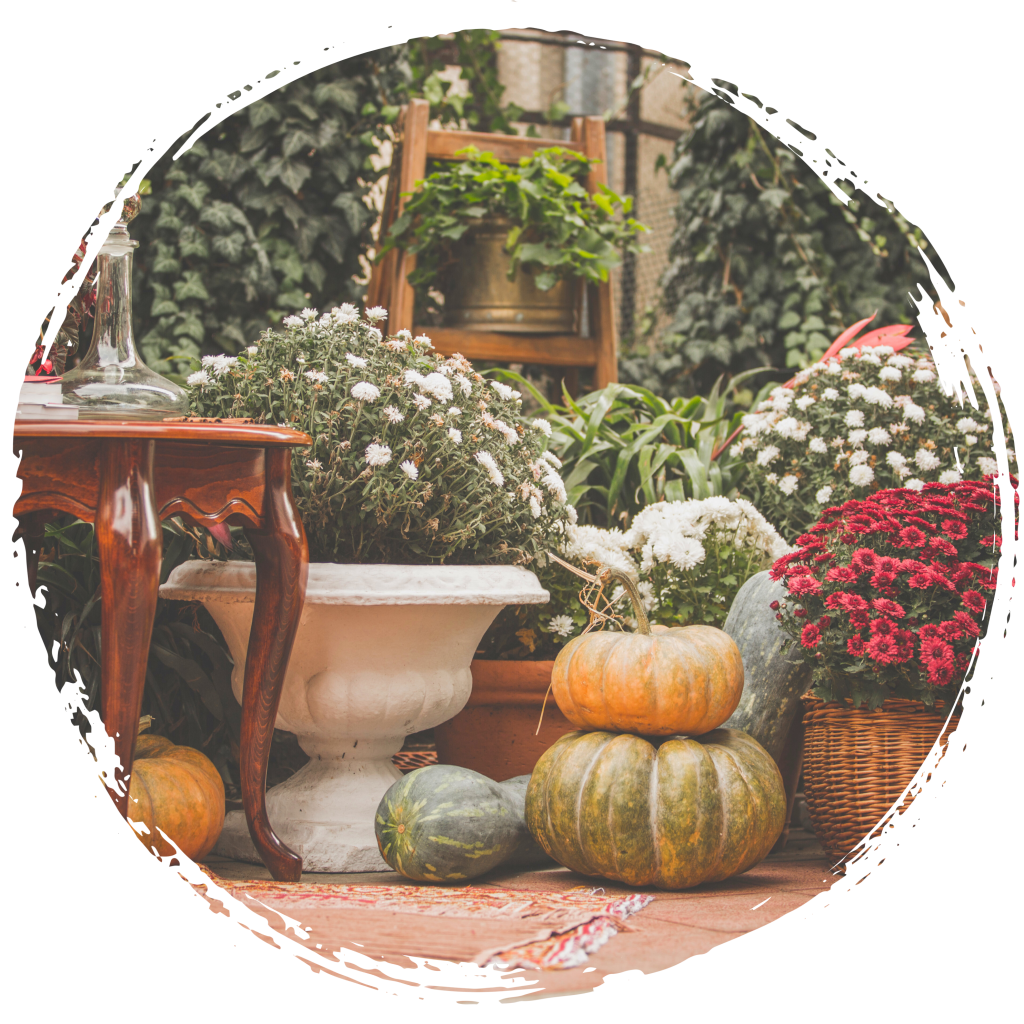 Embrace the Season: Decorating Your Ashe County Home for Fall