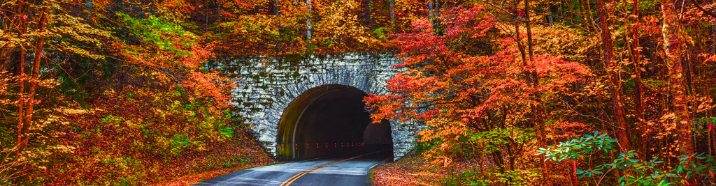 Captivating Colors: The Peak Times to Visit West Jefferson in the Fall
