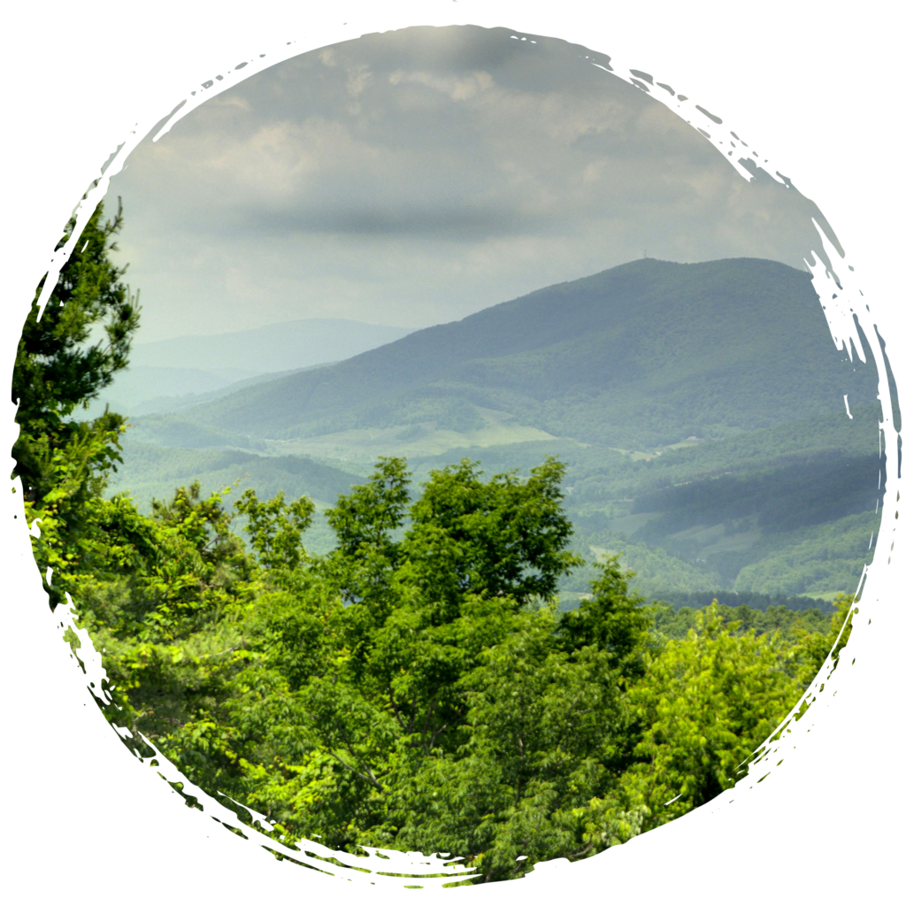 Spring 2024 Events Near Ashe County