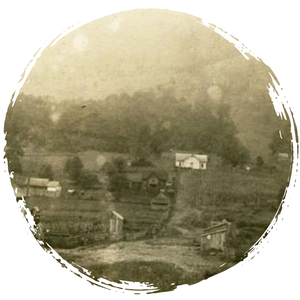 Exploring the Legends and Ecology of Mount Jefferson with Ashe County Realty