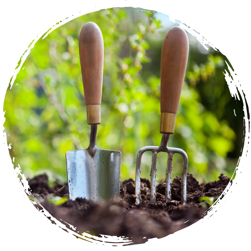 National Gardening Day with Ashe County Realty