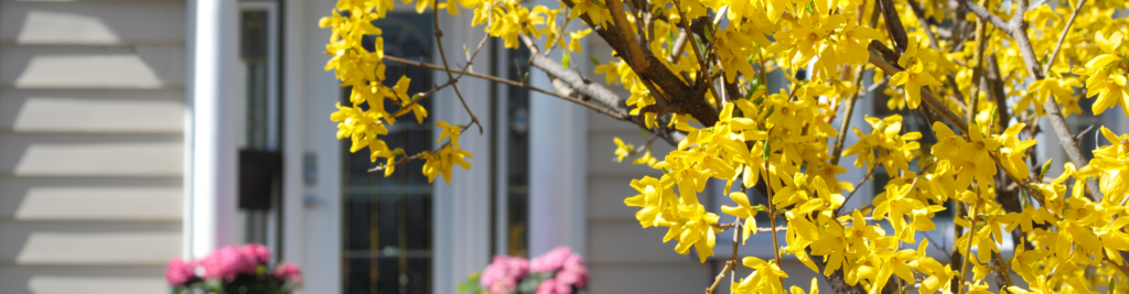 Embrace the Spring Market: The Benefits of Listing Your Home in Ashe County